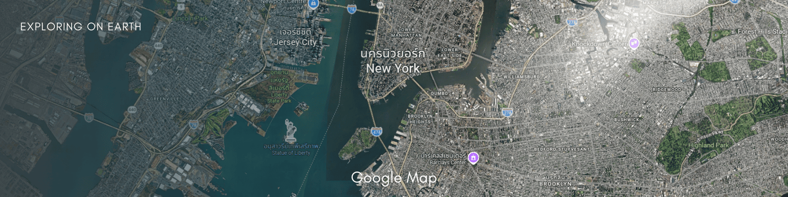 google business profile google map view